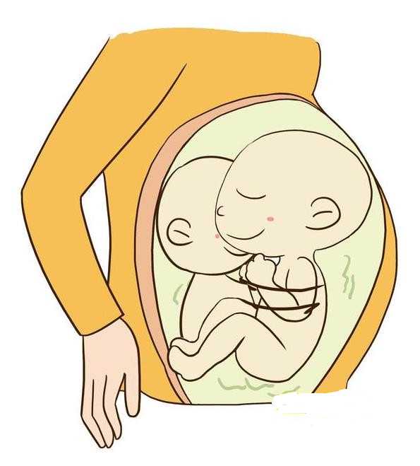 石家庄供卵卵子库，石家庄三代试管婴儿哪家好,2026石家庄试管不需要结婚证的医院哪里最好！试管婴儿石家庄哪个医院做的好！